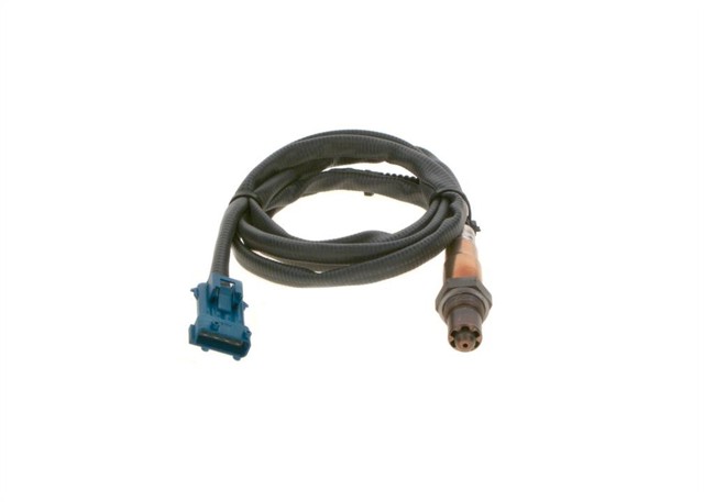 0258006029 Bosch