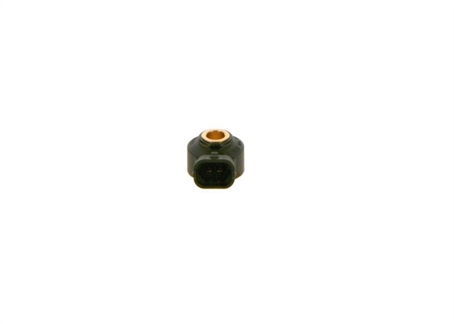 0261231173 Bosch
