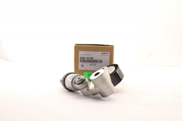 252813C100 Hyundai/Kia
