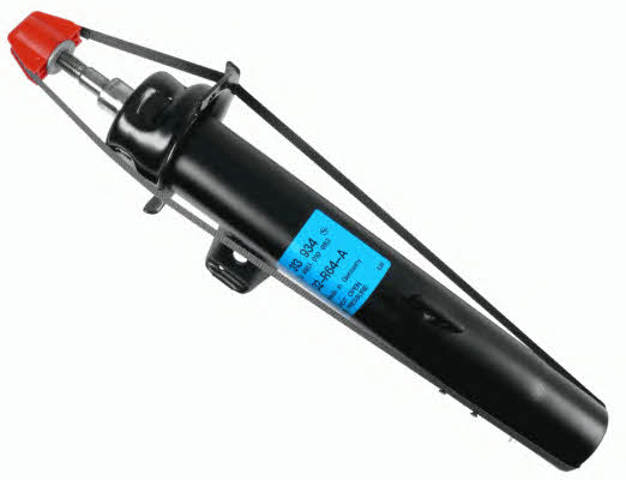 313934 Sachs