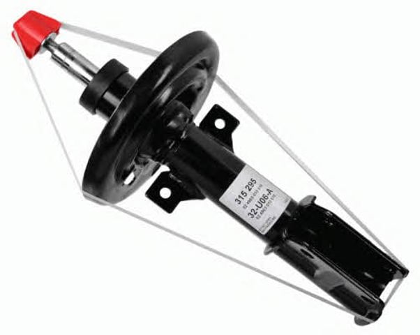 315295 Sachs