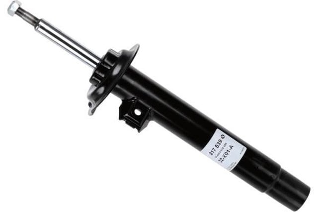 317539 Sachs