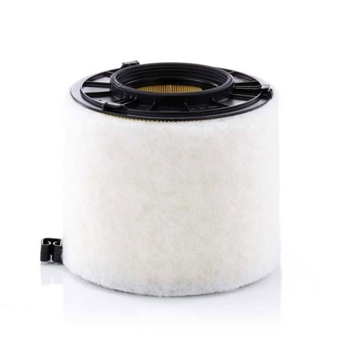 C17010 Mann-Filter