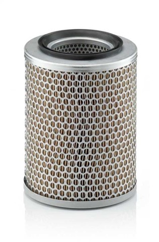 C17134 Mann-Filter