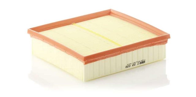 C22020 Mann-Filter