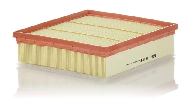 C22039 Mann-Filter