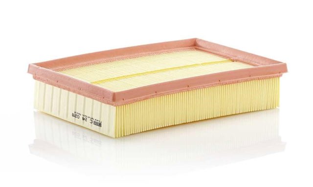 C24028 Mann-Filter
