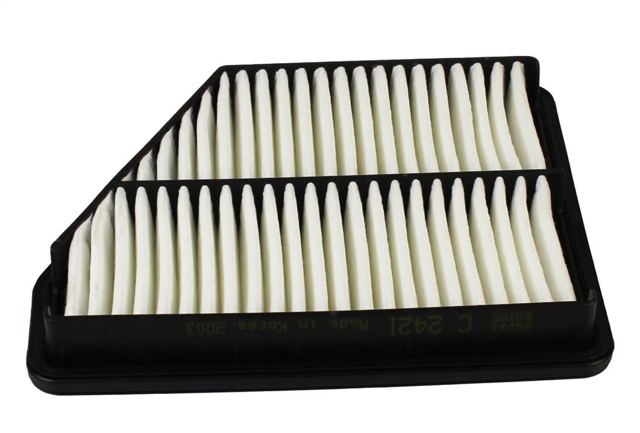 C2421 Mann-Filter
