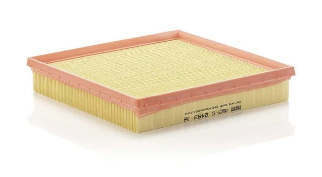 C2493 Mann-Filter