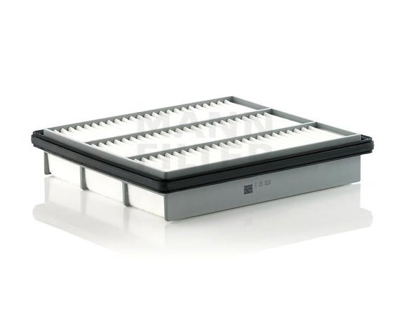 Filtro de ar C25020 MANN