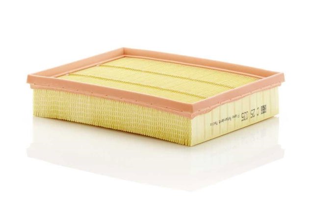 C25035 Mann-Filter