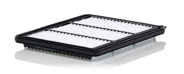 C25051 Mann-Filter