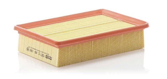 C25100 Mann-Filter