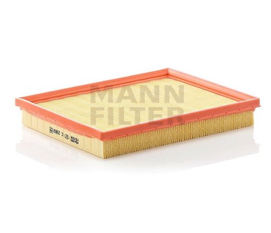 C2569 Mann-Filter