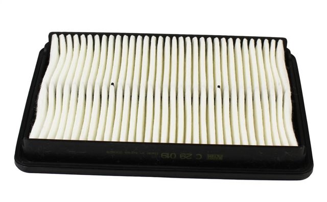 C29019 Mann-Filter