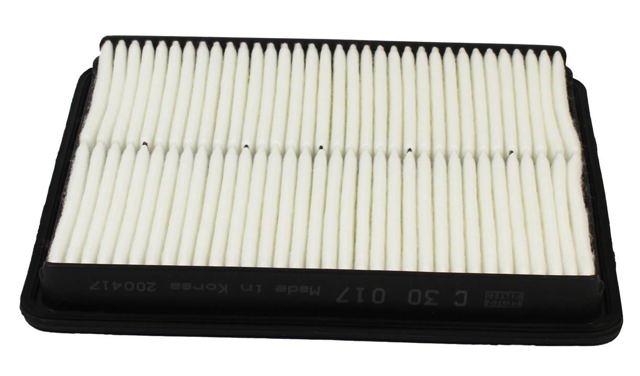 Filtro de ar C30017 MANN