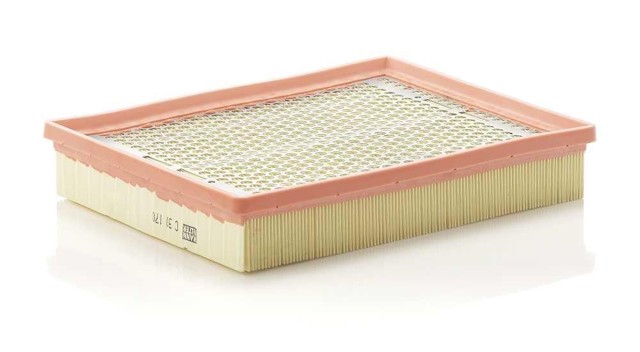 C30170 Mann-Filter