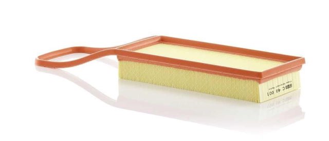 Filtro de ar C49001 MANN