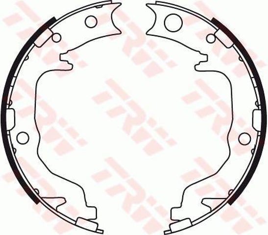 GS8783 TRW