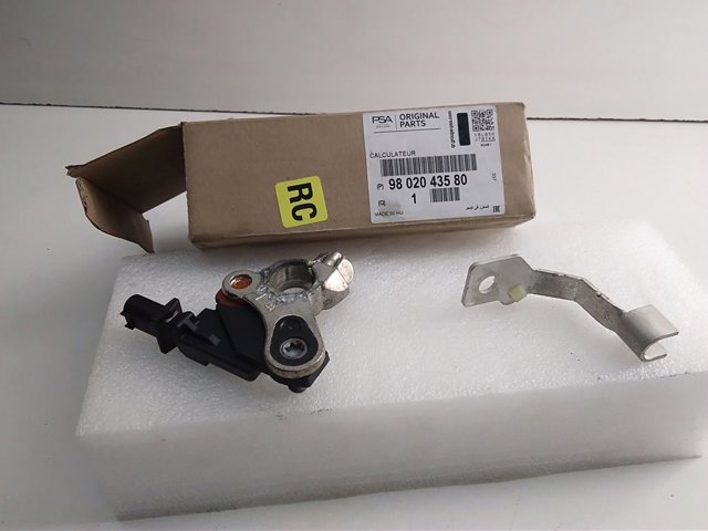 9802043580 Peugeot/Citroen