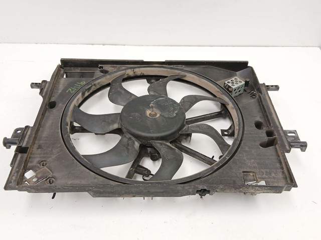 214810411R Renault (RVI)