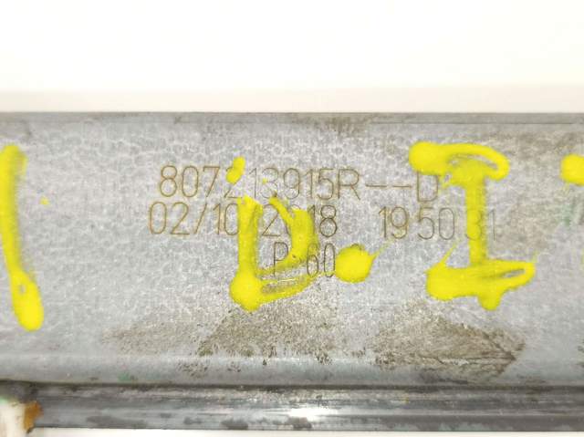 807213915R Renault (RVI)