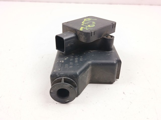 9639779080 Peugeot/Citroen