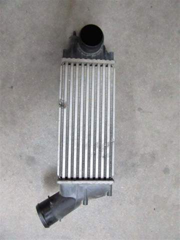 Radiador de intercooler Peugeot 307  3B ao melhor preço