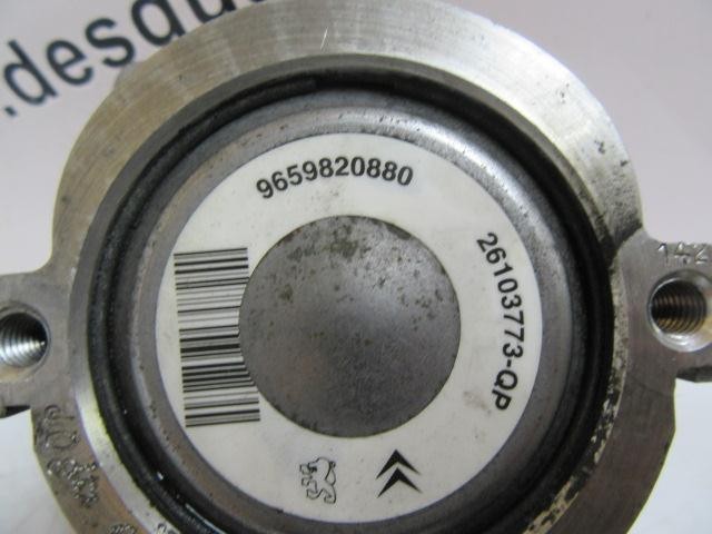 9659820880 Peugeot/Citroen