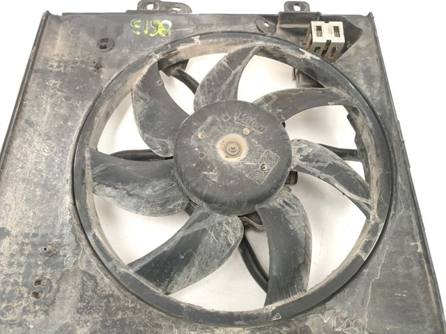 9675280980 Peugeot/Citroen
