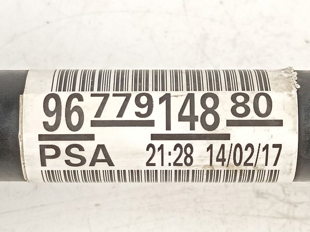 9677914880 Peugeot/Citroen