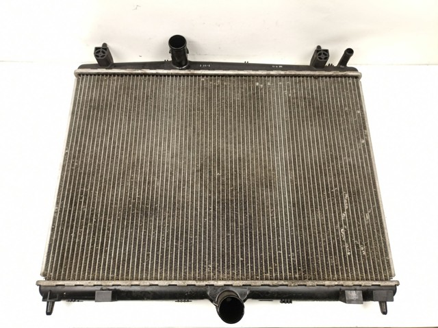 9687359980 Peugeot/Citroen