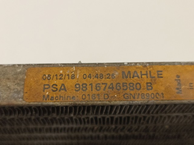 9816746580 Peugeot/Citroen