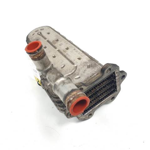 Radiador do sistema EGR de recirculação dos gases de escape 038131513AD VAG