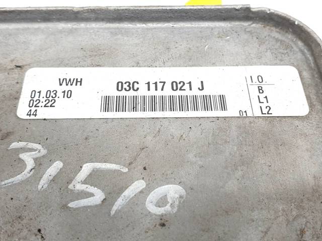 Radiador de óleo 03C117021J VAG