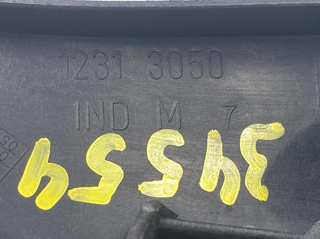 12313050 Renault (RVI)