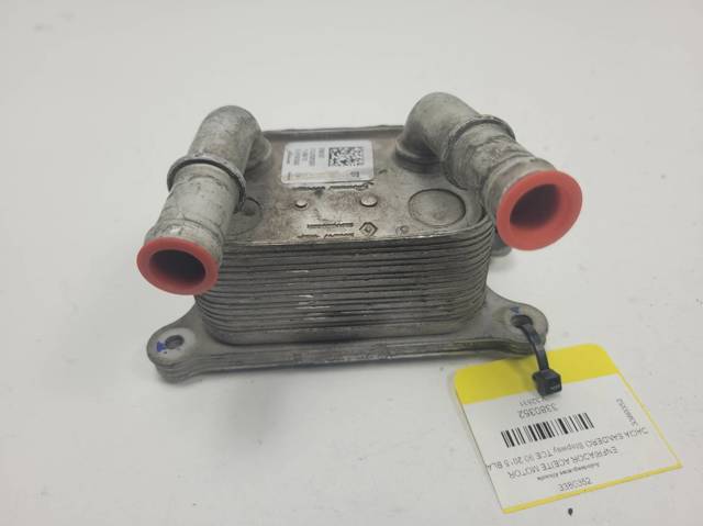 213052032R Renault (RVI)