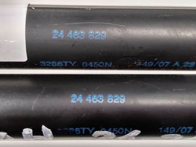 Amortecedor de tampa de porta-malas (de 3ª/5ª porta traseira) 24463829 OPEL