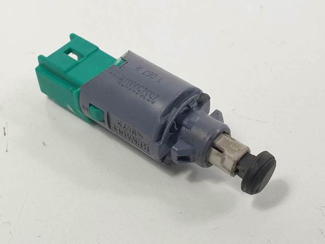 253250007R Renault (RVI)