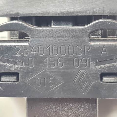 254010003R Renault (RVI)