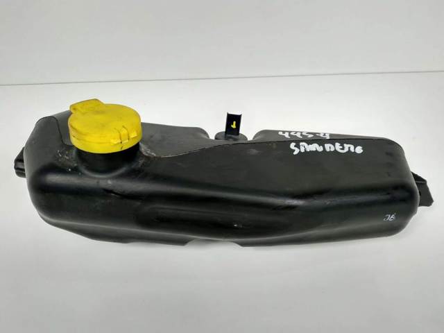 289104583R Renault (RVI)