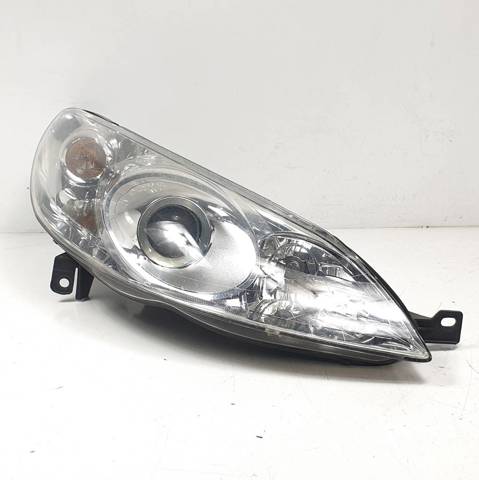 301213272 Peugeot/Citroen