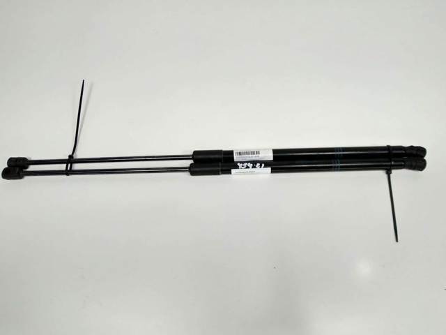 Amortecedor de tampa de porta-malas (de 3ª/5ª porta traseira) 315005777 OPEL