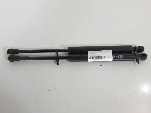 Amortecedor da capota 51238202688 BMW
