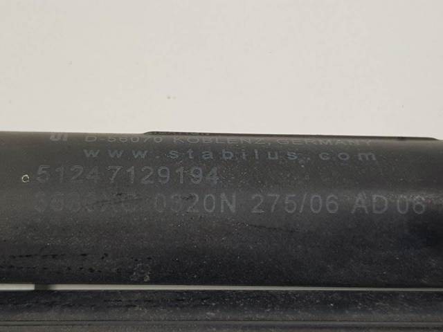 Amortecedor de tampa de porta-malas (de 3ª/5ª porta traseira) 51247129194 BMW