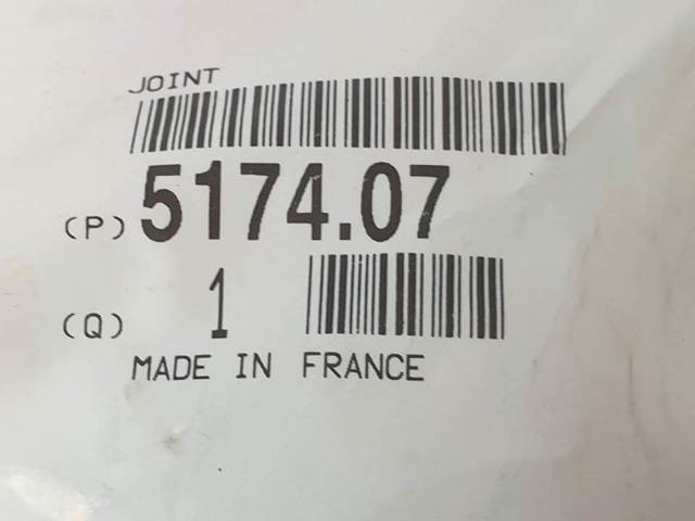 517407 Peugeot/Citroen