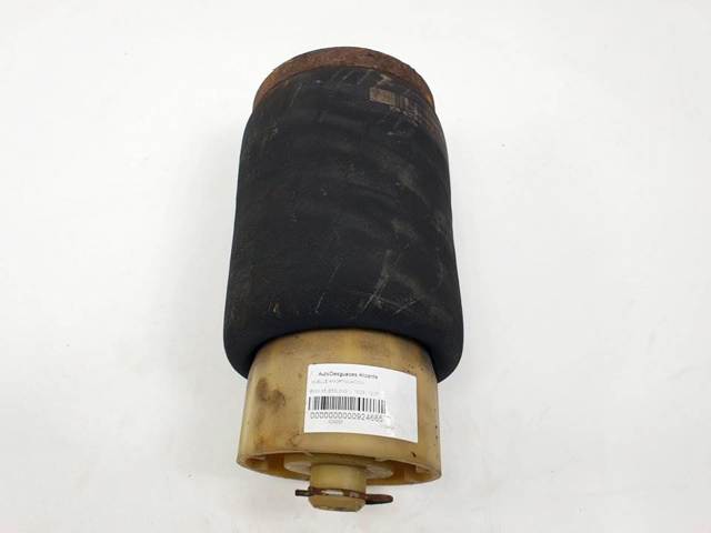 Coxim pneumático (suspensão de lâminas pneumática) do eixo traseiro 6750356 BMW