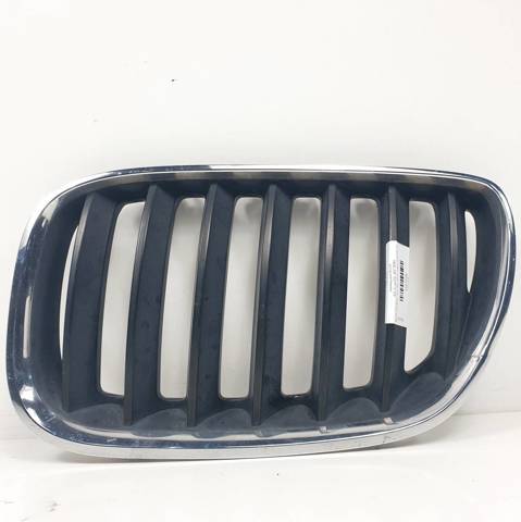 Grelha do radiador esquerda 7124815 BMW