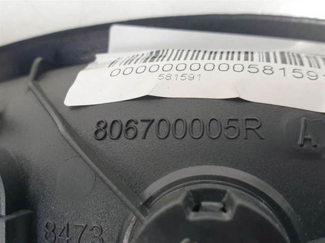 806700005R Renault (RVI)