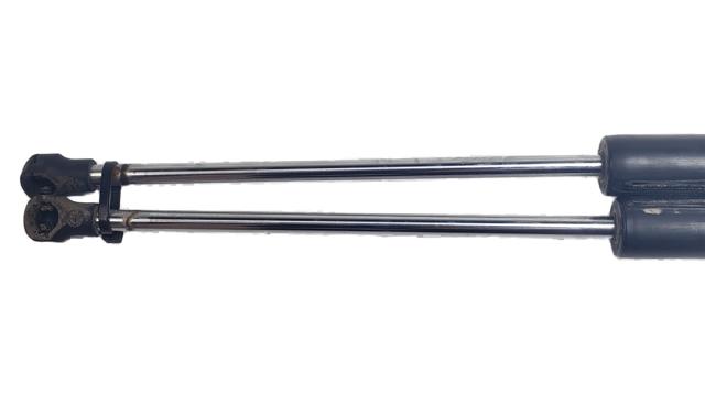 Amortecedor de tampa de porta-malas (de 3ª/5ª porta traseira) 8200299546 RENAULT